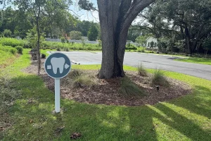 parking at Lowcountry Family dentistry in Murrells Inlet, SC